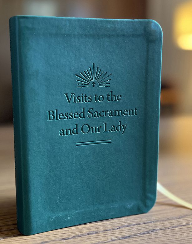 VISIT 2 BLSSD SAC LEATHERETTE