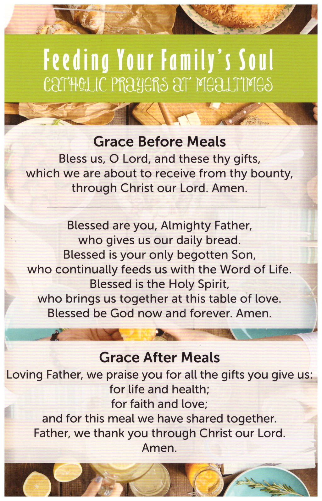 FEEDING YOUR FAMILYS SOULS PC