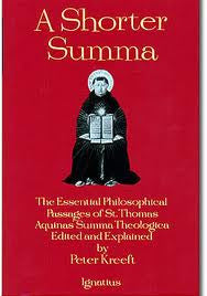 A SHORTER SUMMA