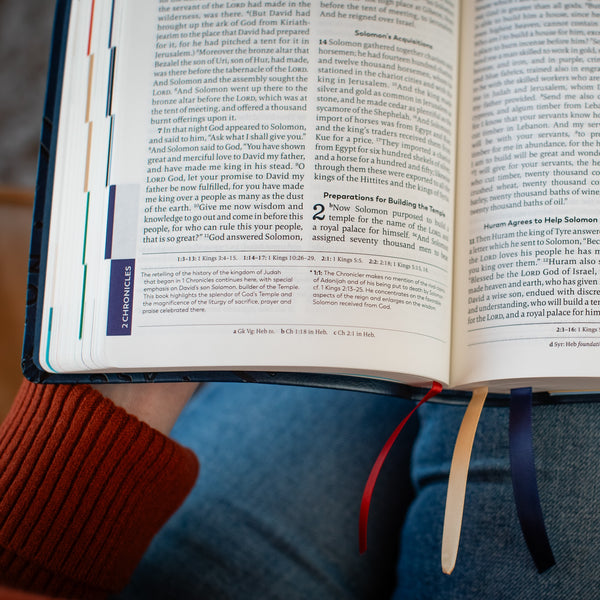 GREAT ADVENTURE CATHOLIC BIBLE