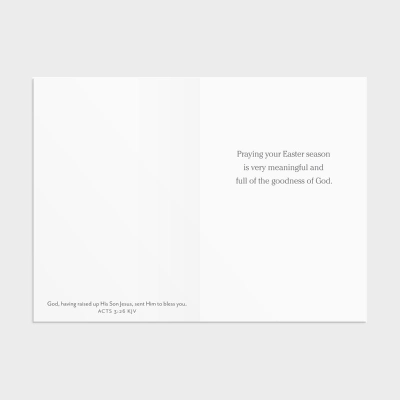 12CT EASTER BOXED CARDS