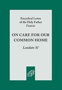 LAUDATO SI: CARE FOR OUR HOME